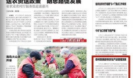 沙河村最新爆料新闻报道,揭秘村庄背后惊人真相