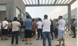 泰安幼儿园爆料视频最新,揭秘园内惊人一幕